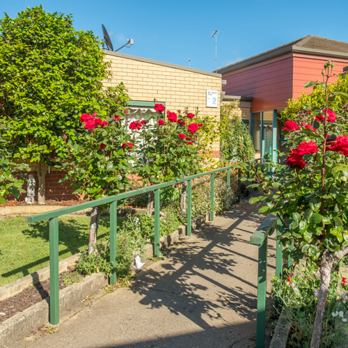 W.B. Messer Garden pathway lined with vibrant red rose bushes leading to a light brick and red building, bordered by green railings and surrounded by lush greenery under a clear blue sky.